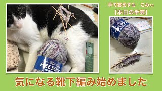 気になる靴下編み始めました【本日の手芸】today's handicraft