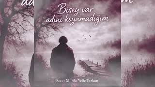 Bi'şey Var Adını Koyamadığım 