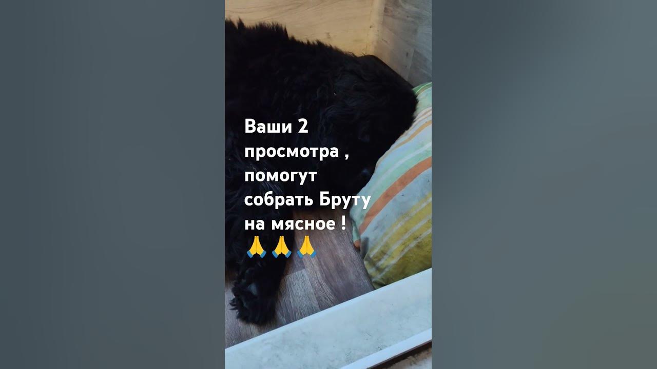 Спит зайчик ! ️ - YouTube
