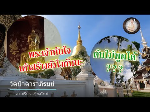 พระเจ้าทันใจ เค้าสร้างยังไงกันนะ  คุยกับต้นไม้ วัดป่าดาราภิรมย์