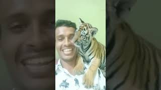 # Tiger tail filter ☠️👿# tutorial# filter #