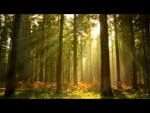 background-music-instrumental---piano-&-nature---relax-daily-n°005