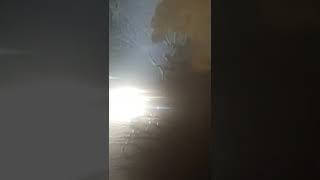 Celebrity Paris Jackson Profile