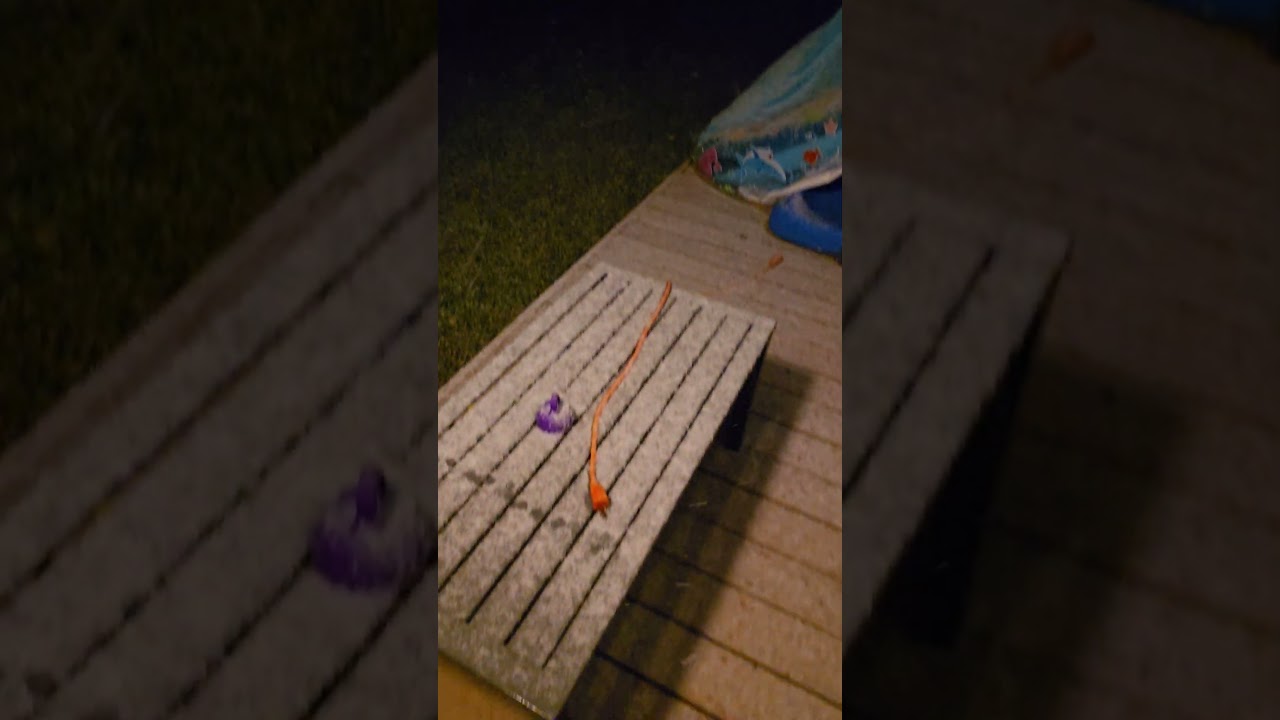 Первый снег в Калгари 🇨🇦