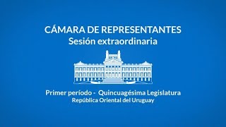 Cámara de Representantes. Sesión extraordinaria. Lunes 24 de noviembre de 2025, hora 10:00. Parte 1.