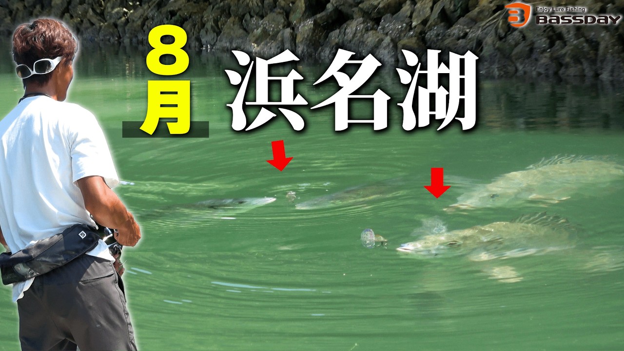 これが真夏の浜名湖のリアルです