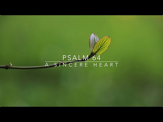 PSALM 64: A SINCERE HEART class=