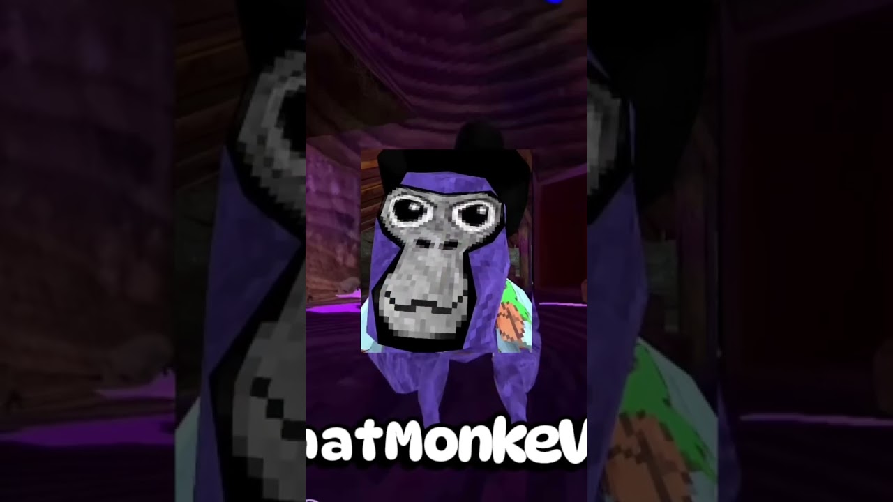 Edit for@That_Monke_Vr @mrTrexVR @Ryan_VRGT