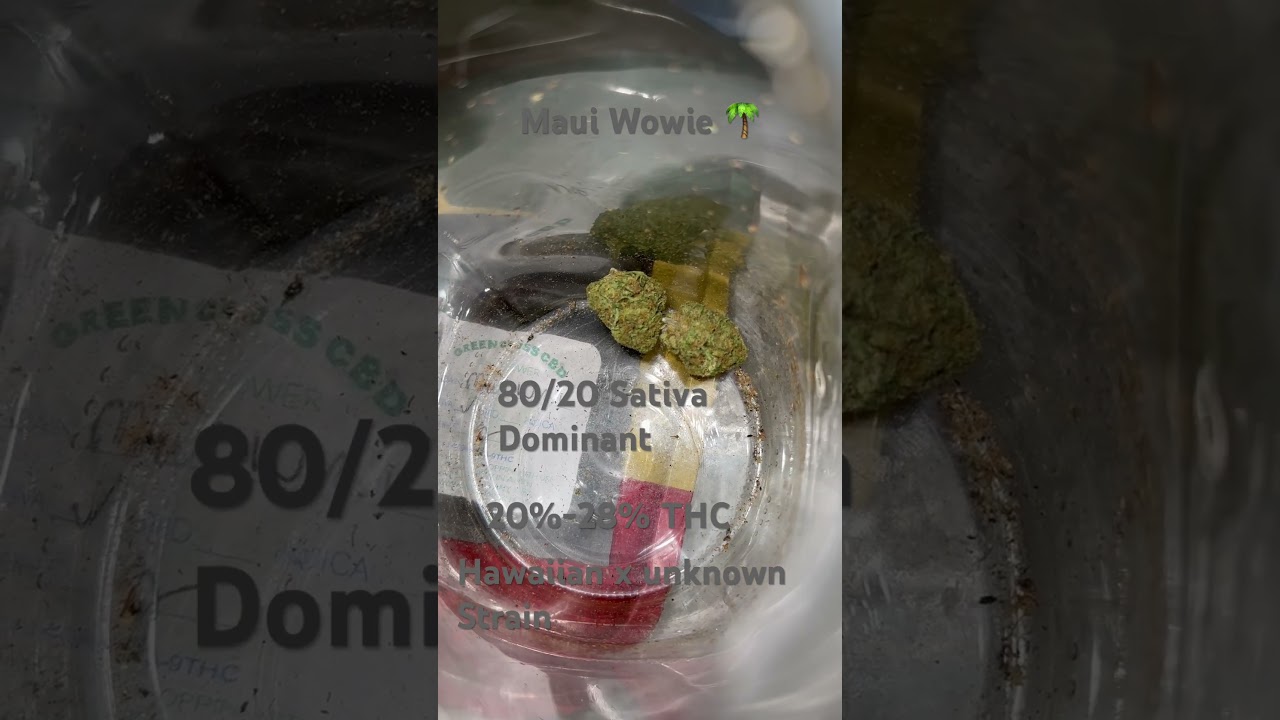 Maui Wowie - the classic iconic Sativa strain from Hawaii 