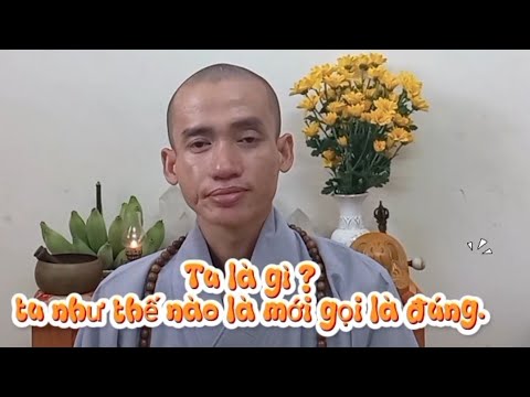 Tu là gì?