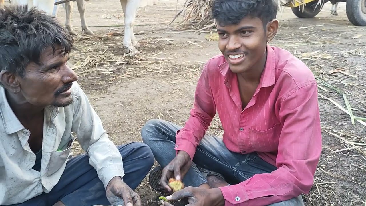 ऊस तोडी 😝 तिखट मिरची भजे 🫵😆