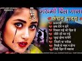 Hindi Gana🥀Sadabahar Song 💓हिंदी गाने ❣️Purane Gane Mp3 💕Filmi Gaane अल्का याग्निक कुमार सानू गीत