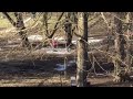 IMG 1471