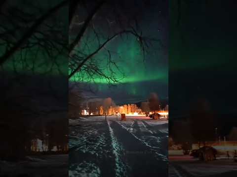 Norway | নরওয়ে – পৃথিবীর নীরব এক প্রান্ত...