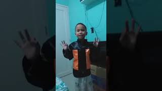 1 Plus 1 Magellan Kakoi