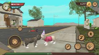 احلى اللحظات مع jawa في لعبة (cat sim) 😍 screenshot 4