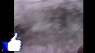 Su Nasosu Satılır 150 Lik Dir Zəng Edin 050 732 07 83