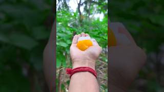 Survival Skills: SMART and Useful Ideas #survival #useful #ideas #smart #shorts #camping