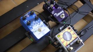Versus: Timmy Paul C Audio x Mayflower Walrus Audio - YouTube