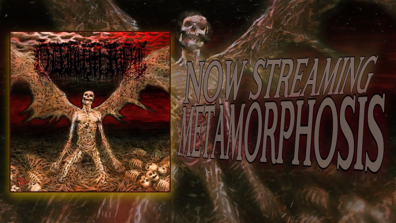 ODIUM ROT | METAMORPHOSIS [EP VERSION] (OFFICIAL STREAM)