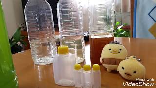 半年前のクロレラは培養できるのか