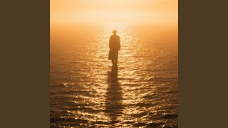 Amber Reflections Forever