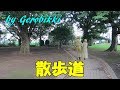 「散歩道」/三丘翔太 Japanese Taishogoto 大正琴   /Gerobikki