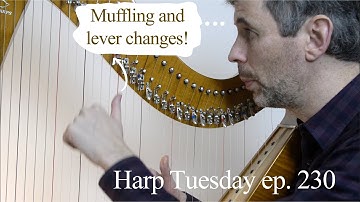 Muffling and lever changes - Harp Tuesday ep. 230
