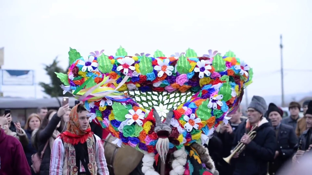 Capra de la Belcesti 2018