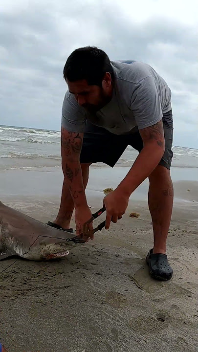 Josh Hooked Up in Galveston on a Shark