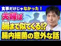 【腸活の意外な盲点】食事・生活習慣だけじゃない!「誰と過ごしたか」が細菌に残る理由