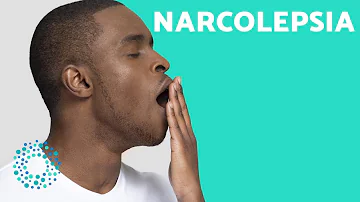 ¿Cuáles son las causas de la narcolepsia?