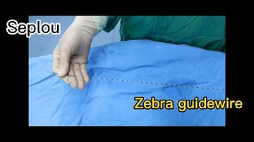 Zebra guidewire for lithotripsy. Nitinol core with hydrophilic tip.