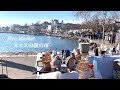 スイスの蚤の市 | レマン湖畔沿いに広がるアンティークの旅・街歩き・購入品紹介 | フランス・パリとは、また違った自然豊かな癒しのフリーマーケット | ブロカント 骨董市 ヴィンテージ レトロ