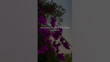 “مش هتقدر تسمعها من غير ما قلبك يتحرك | سورة الحج - بصوت أحمد خضر"
