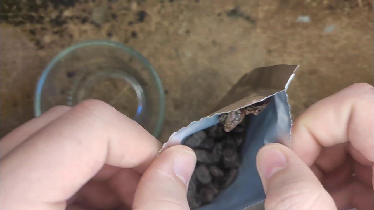 MRE Raisins, Osmotic YouTube