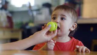 Doddle & Co The Pop Pacifier, A Cleaner Baby Pac