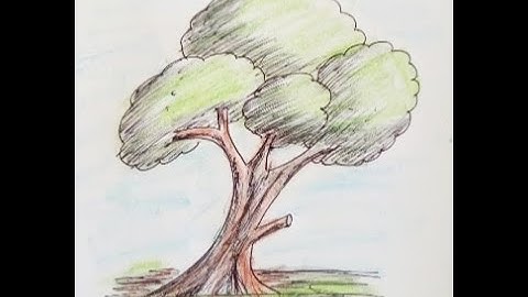 Sketch of a Tree | original video tutorials #satisfying #creativeart #drawingforbeginners
