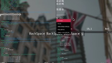 rime-cangjie5_advanced (倉頡粵拼混打Rime輸入法) [快打]DEMO2 #testing (version1) ！注意內容含有粗口！ #Linux #fcitx5 #rime