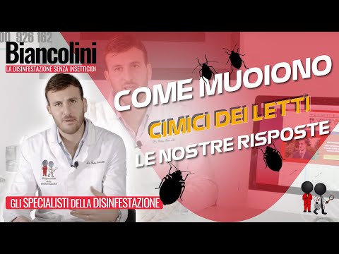 Video: A Che Temperatura Muoiono Le Cimici Dei Letti? A Che Ora Muoiono Le Uova E Muoiono Le Larve? A Quale Temperatura Sotto Lo Zero Muoiono, Congelando?