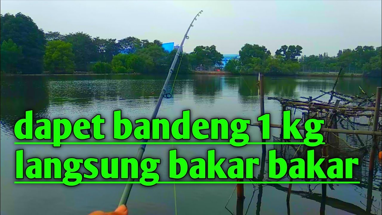 Mancing bandeng liar || dapet 1 kg langsung bakar bakar