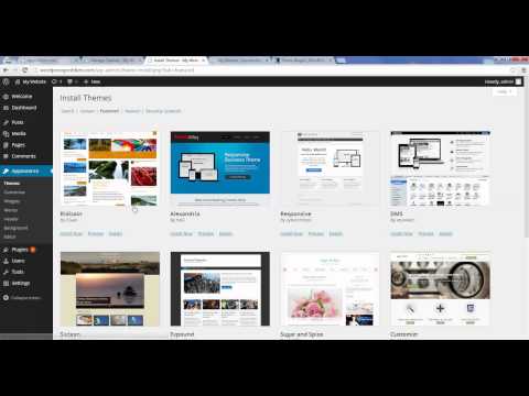 Wordpressproblem - How To Add A Theme To My New Website