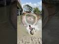 River big monster catch # #net fishing #big fish #Amazing river net fishing #vairal