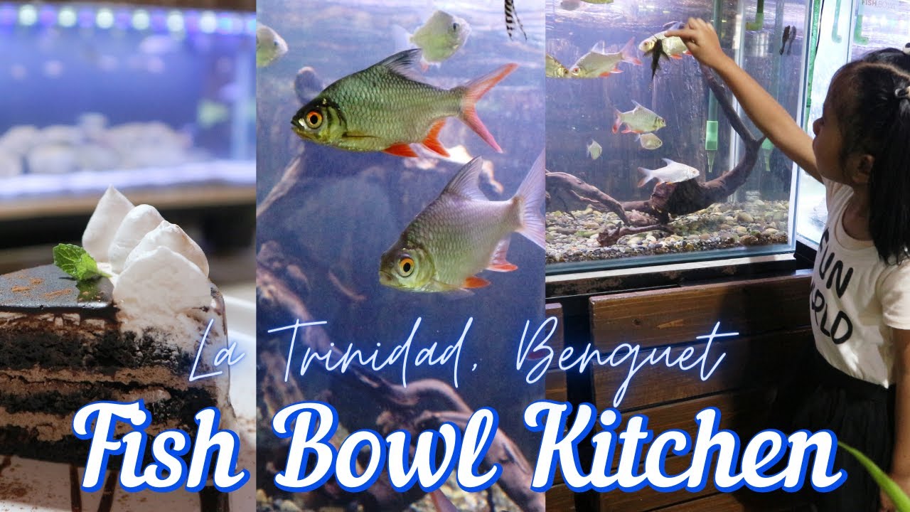 Aquariumthemed Cafe in La Trinidad Fish Bowl Kitchen YouTube