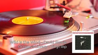 Wild is the Wind - David Bowie (Vinyl Rip) | Octopus Library