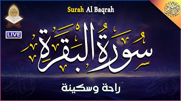سورة البقرة | قرآن كريم للراحة النفسية والاسترخاء وللمساعدة على النوم - سبحان من رزقه هذا الصوت