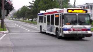 SEPTA BUS: NEW FLYER D40LF 5449 ON ROUTE: 104