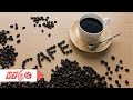 Café và những ảnh hưởng đến tim mạch | VTC