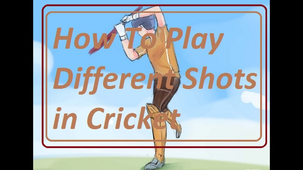 How To Play Various Shots In Cricket - YouTube