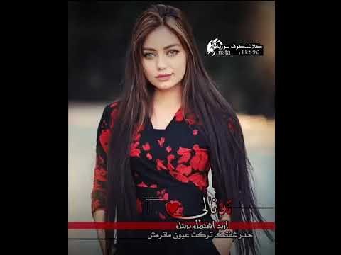 زيد الموالي 